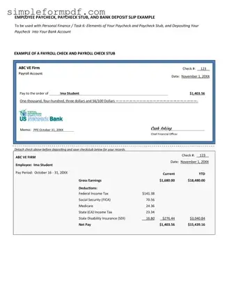 Payroll Check PDF Form