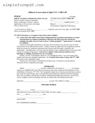 Ucc 1 308 PDF Form